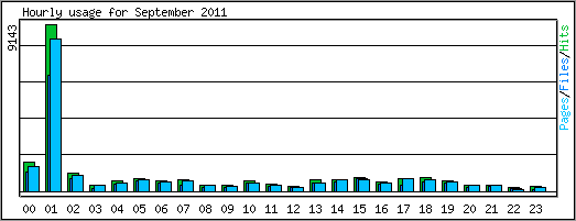 Hourly usage