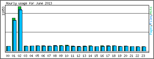 Hourly usage