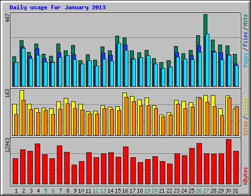 Daily usage for January 2013
