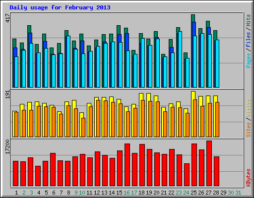 Daily usage for February 2013