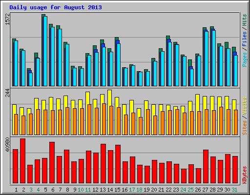 Daily usage for August 2013
