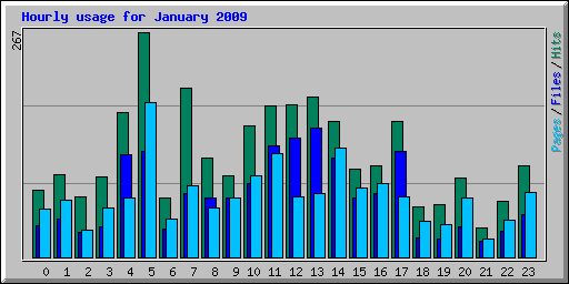 Hourly usage for January 2009
