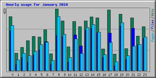 Hourly usage for January 2010