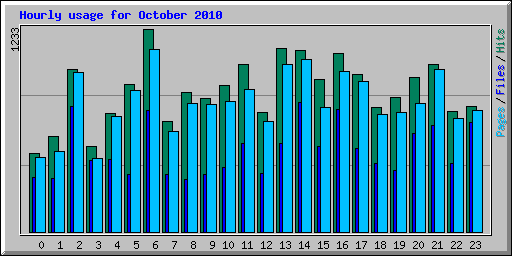 Hourly usage for October 2010