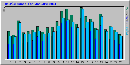 Hourly usage for January 2011