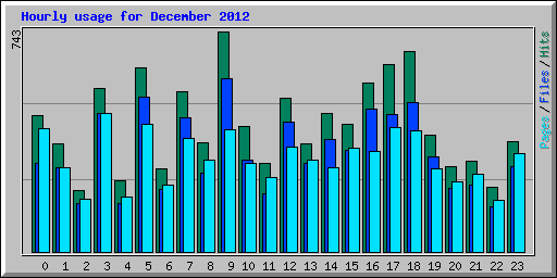 Hourly usage for December 2012