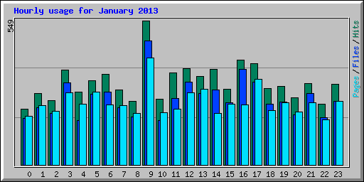 Hourly usage for January 2013