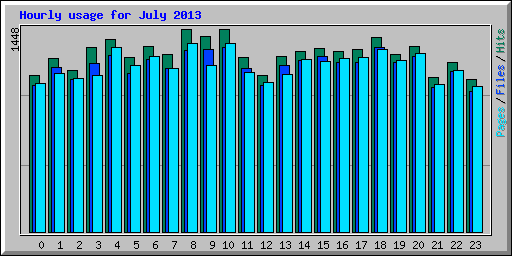Hourly usage for July 2013