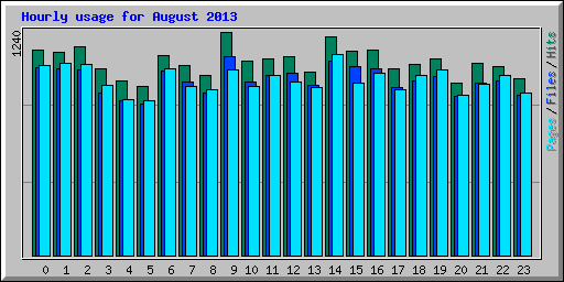Hourly usage for August 2013