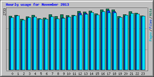 Hourly usage for November 2013