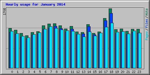 Hourly usage for January 2014