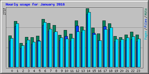 Hourly usage for January 2016