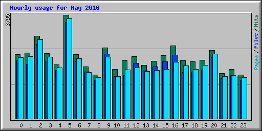 Hourly usage for May 2016