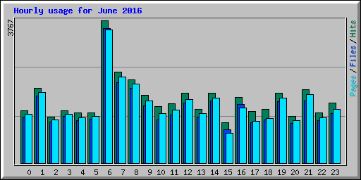 Hourly usage for June 2016