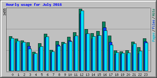 Hourly usage for July 2016