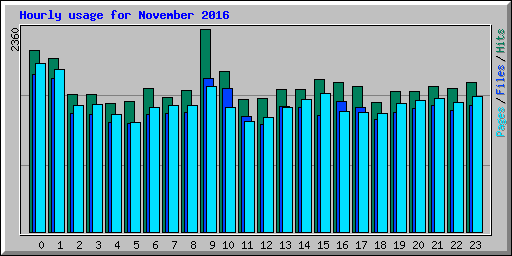 Hourly usage for November 2016