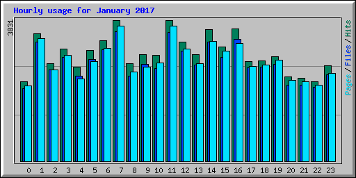 Hourly usage for January 2017