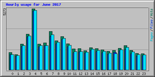 Hourly usage for June 2017